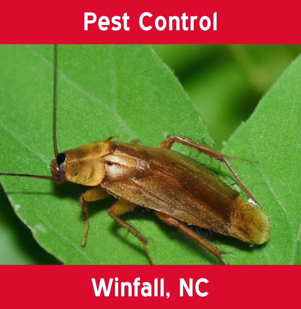 pest control in Winfall North Carolina