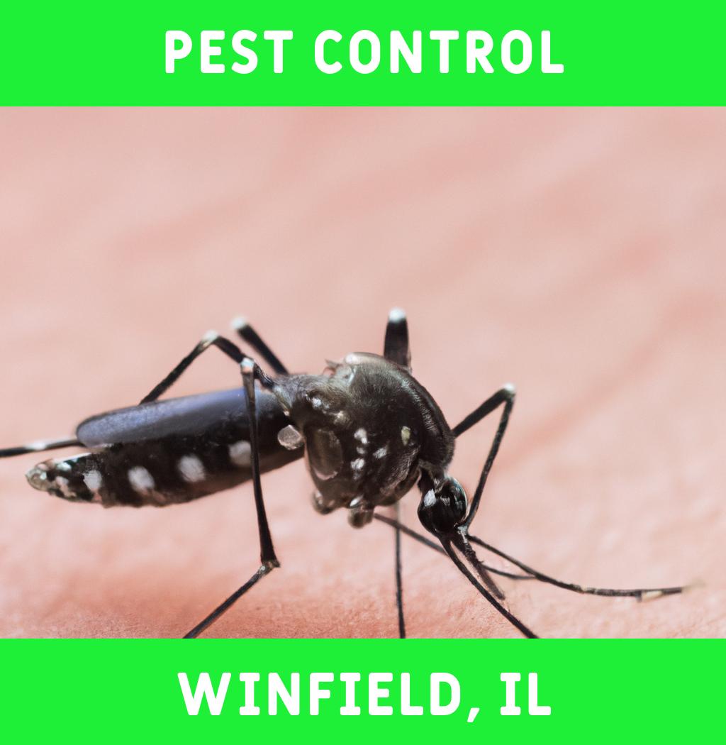 pest control in Winfield Illinois
