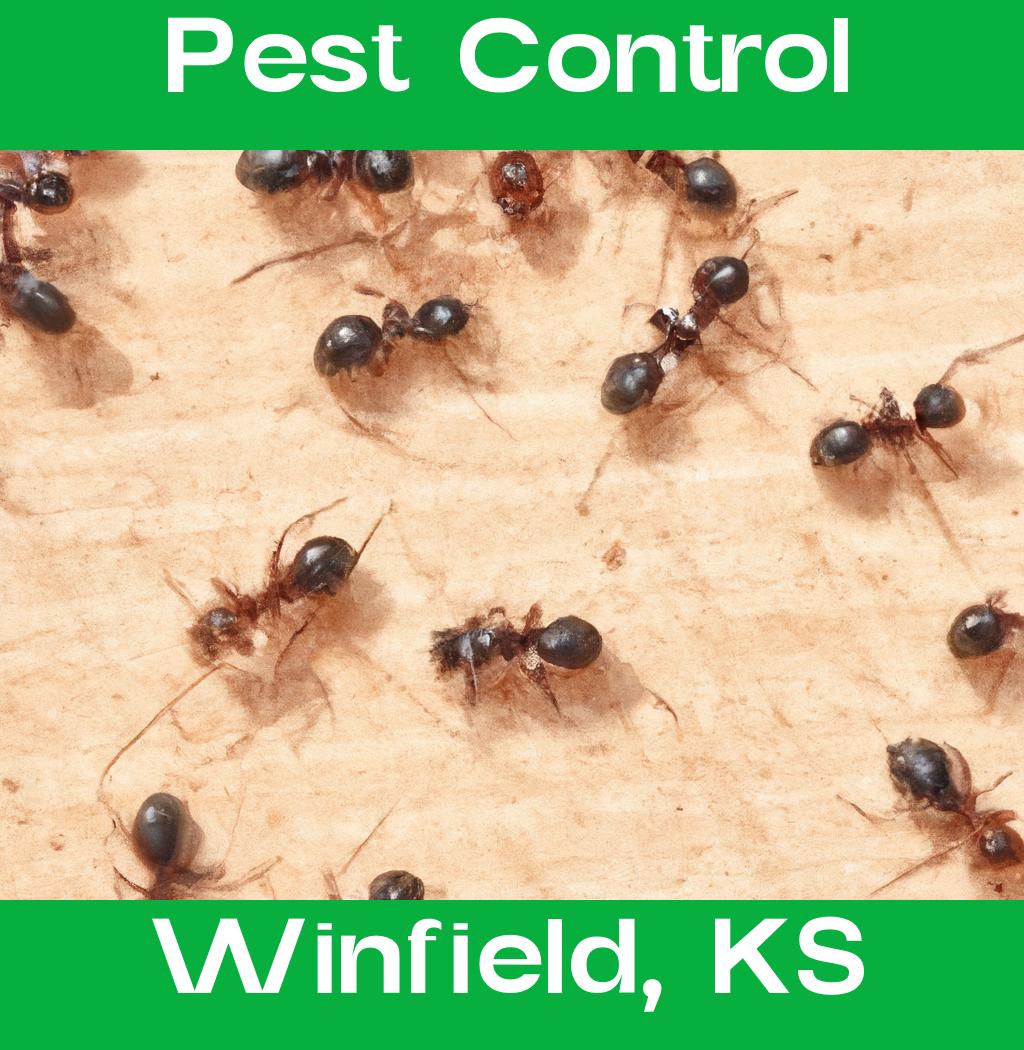 pest control in Winfield Kansas