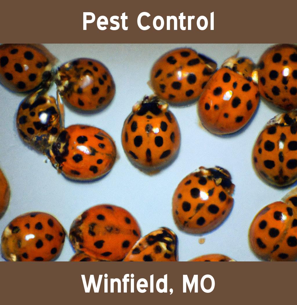 pest control in Winfield Missouri