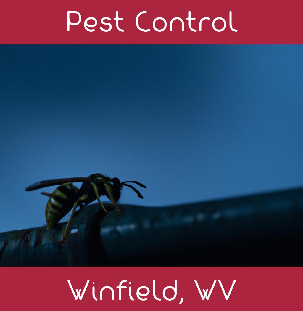 pest control in Winfield West Virginia