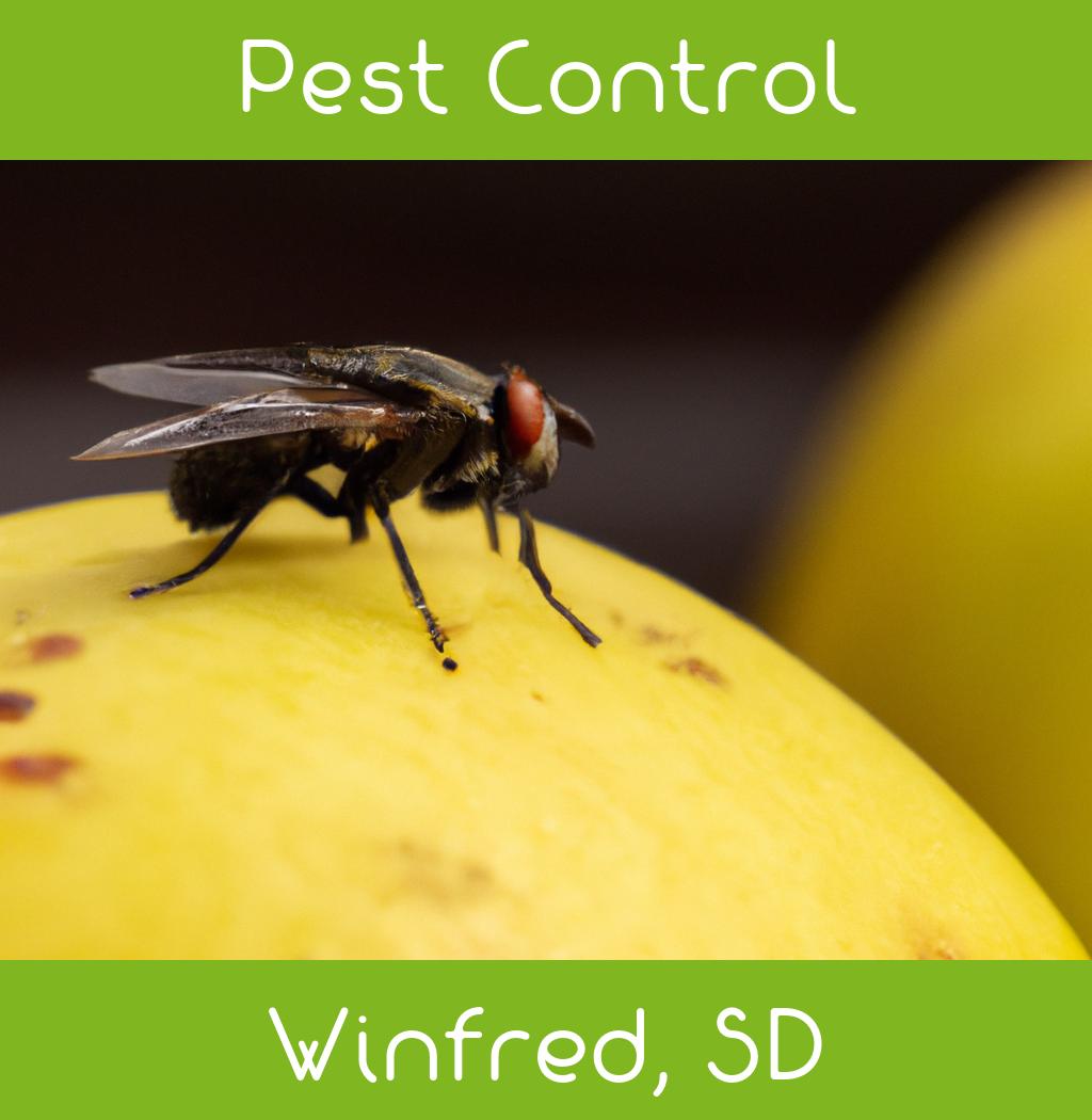 pest control in Winfred South Dakota