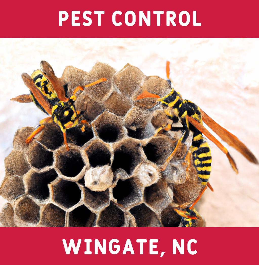pest control in Wingate North Carolina
