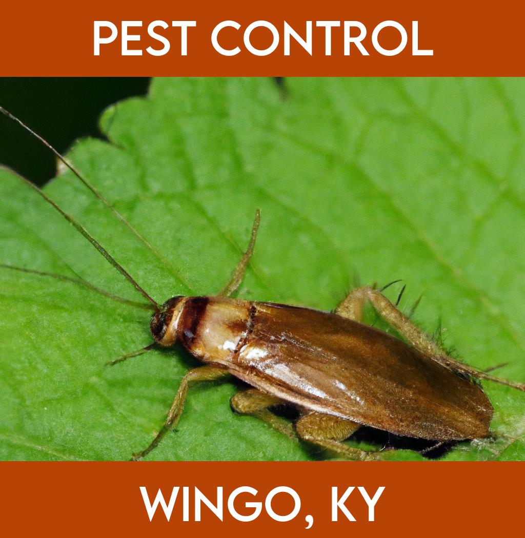 pest control in Wingo Kentucky