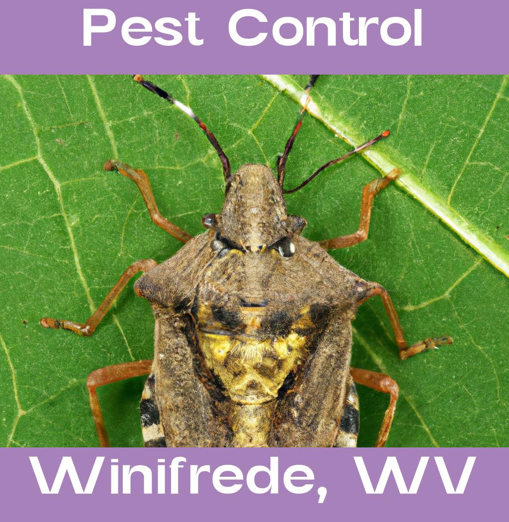 pest control in Winifrede West Virginia