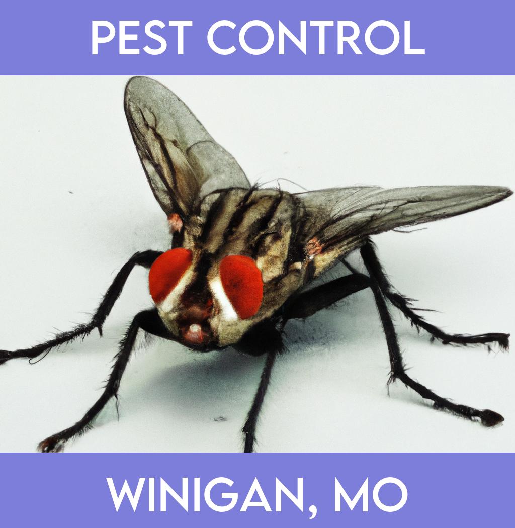 pest control in Winigan Missouri