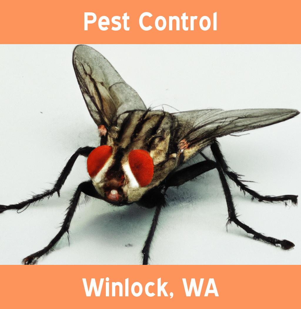 pest control in Winlock Washington