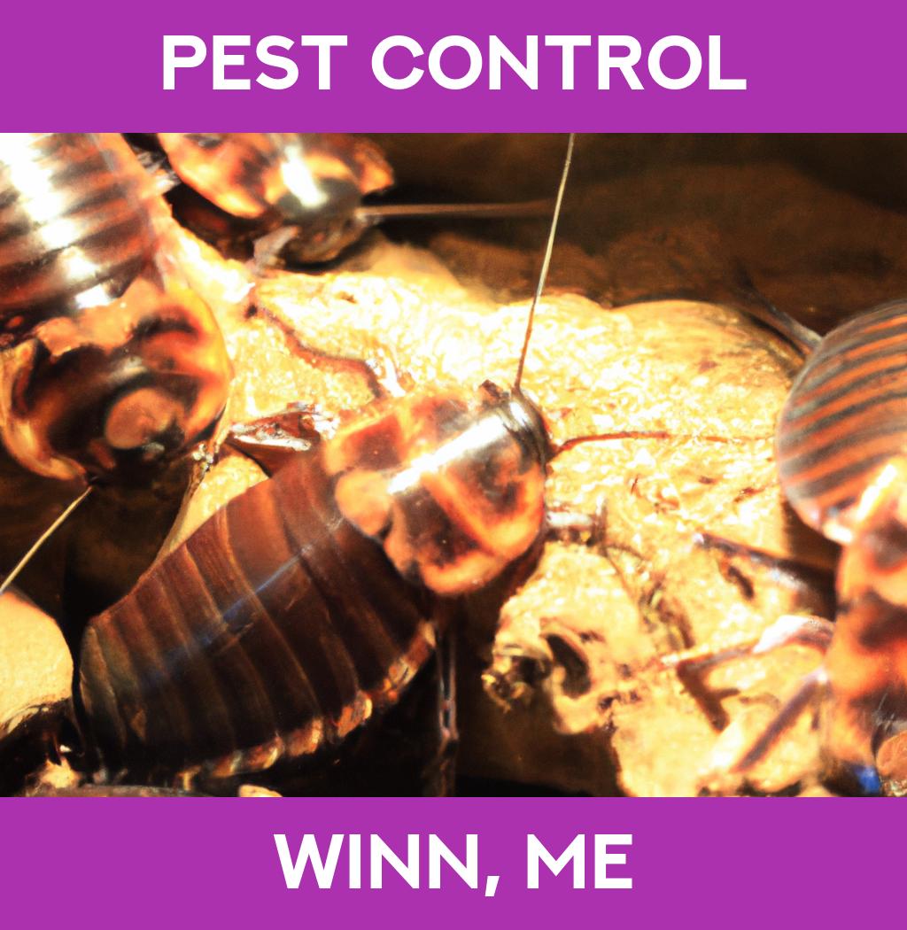 pest control in Winn Maine