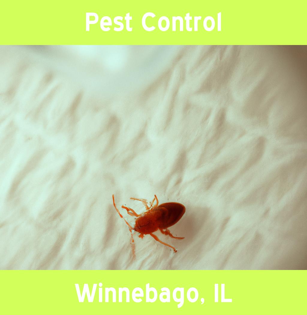 pest control in Winnebago Illinois