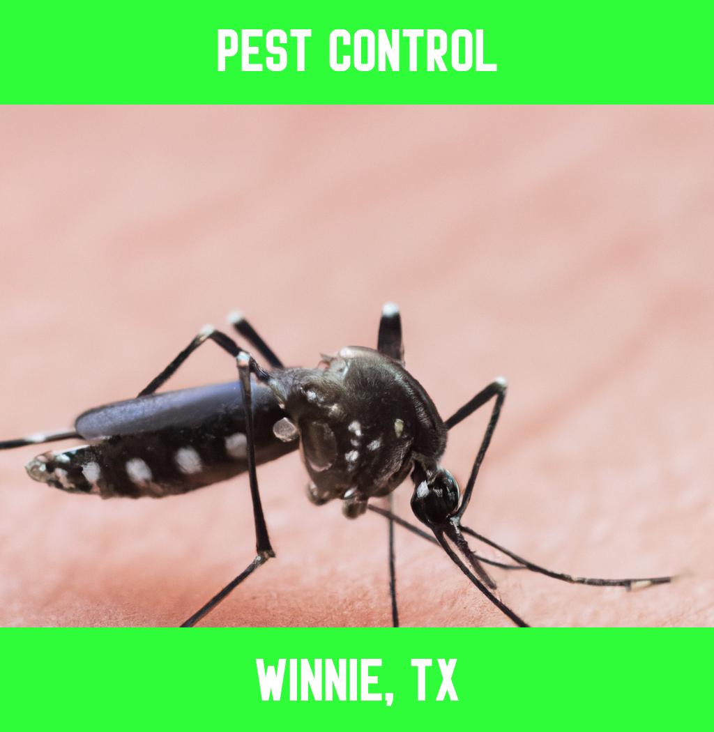 pest control in Winnie Texas