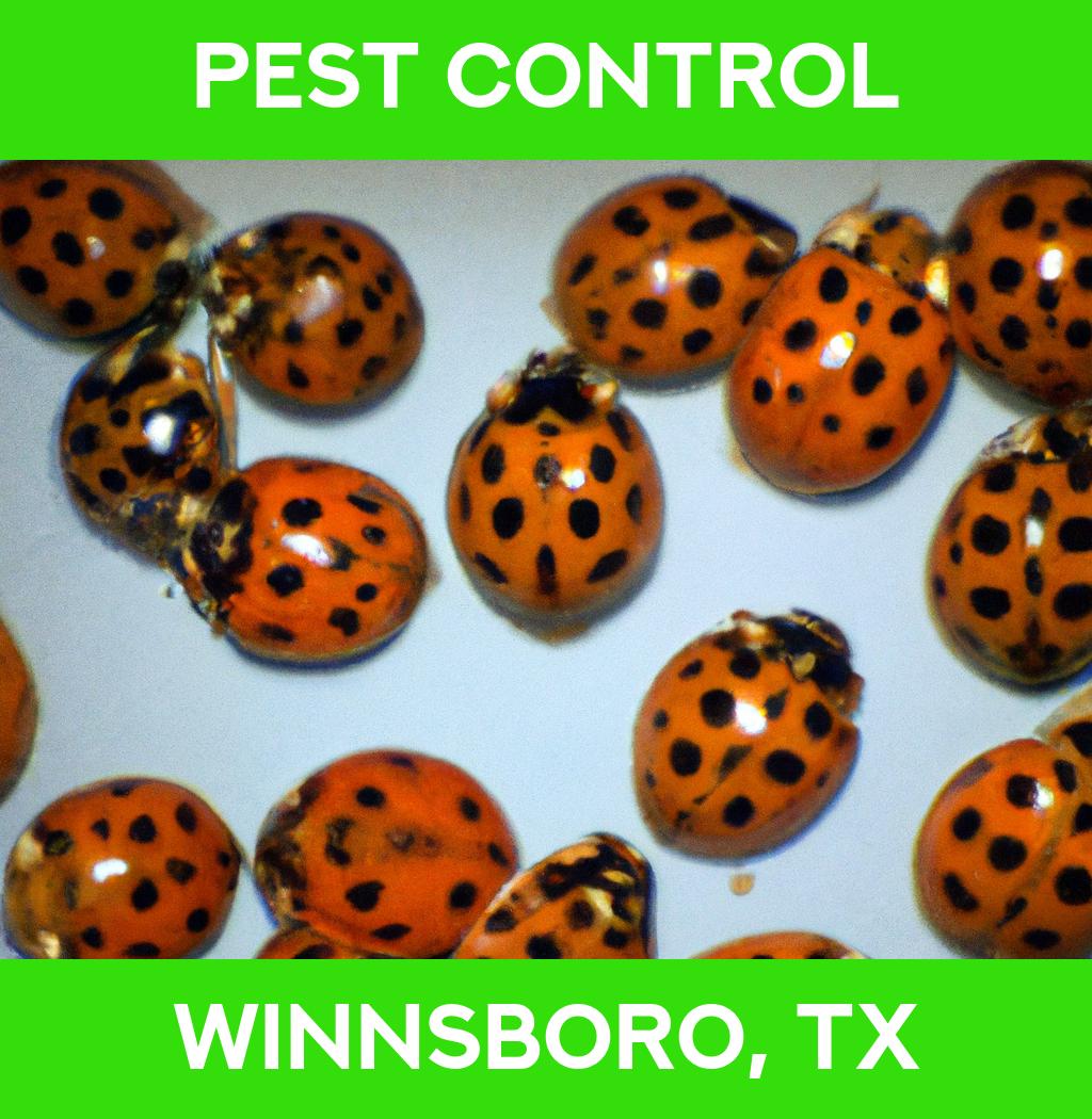 pest control in Winnsboro Texas