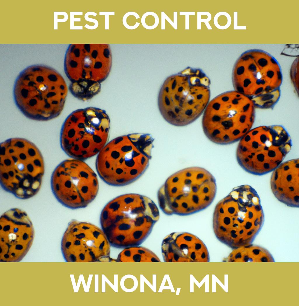pest control in Winona Minnesota