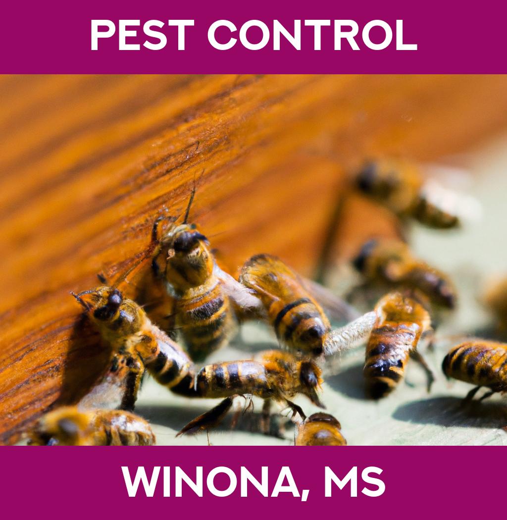 pest control in Winona Mississippi