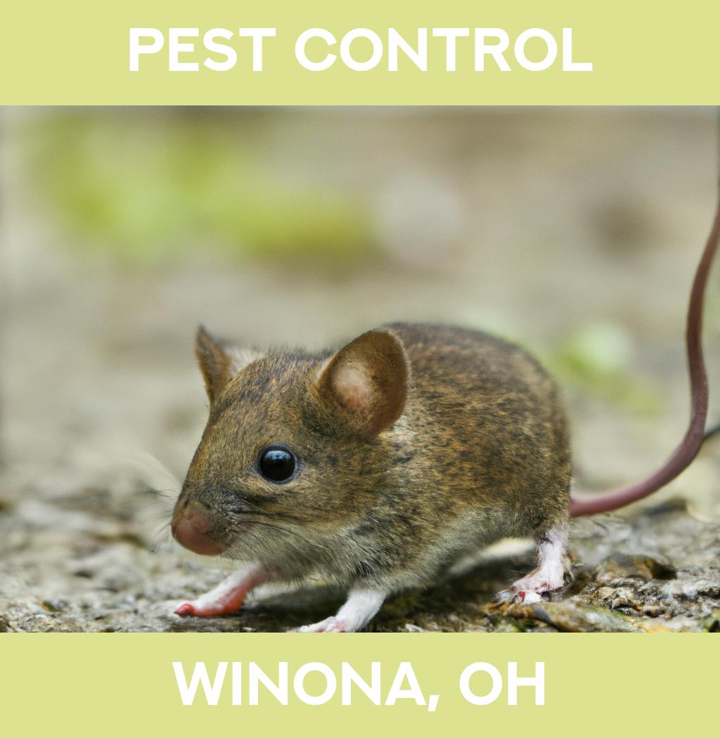 pest control in Winona Ohio