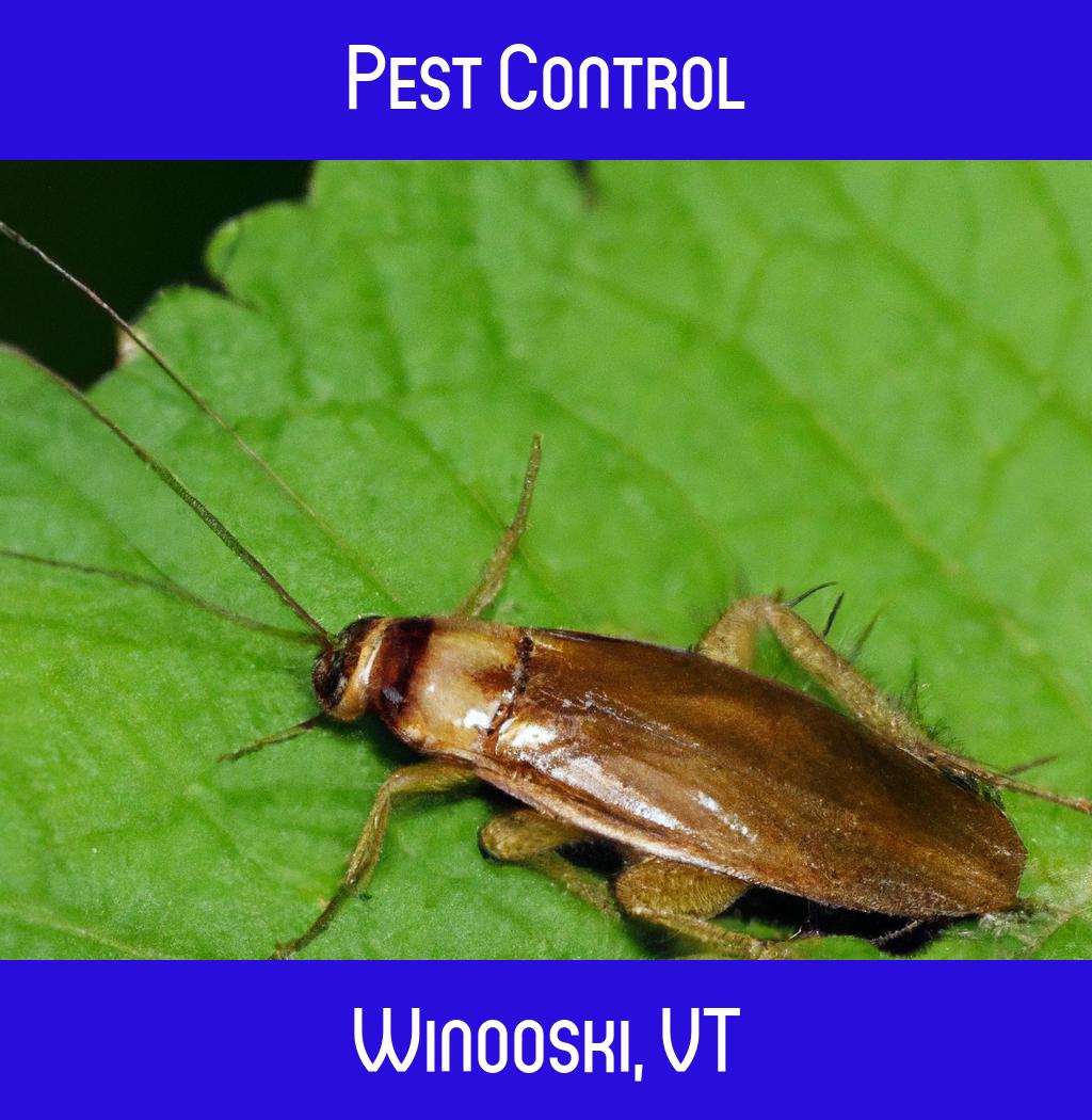 pest control in Winooski Vermont