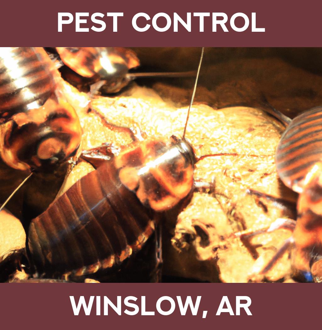 pest control in Winslow Arkansas