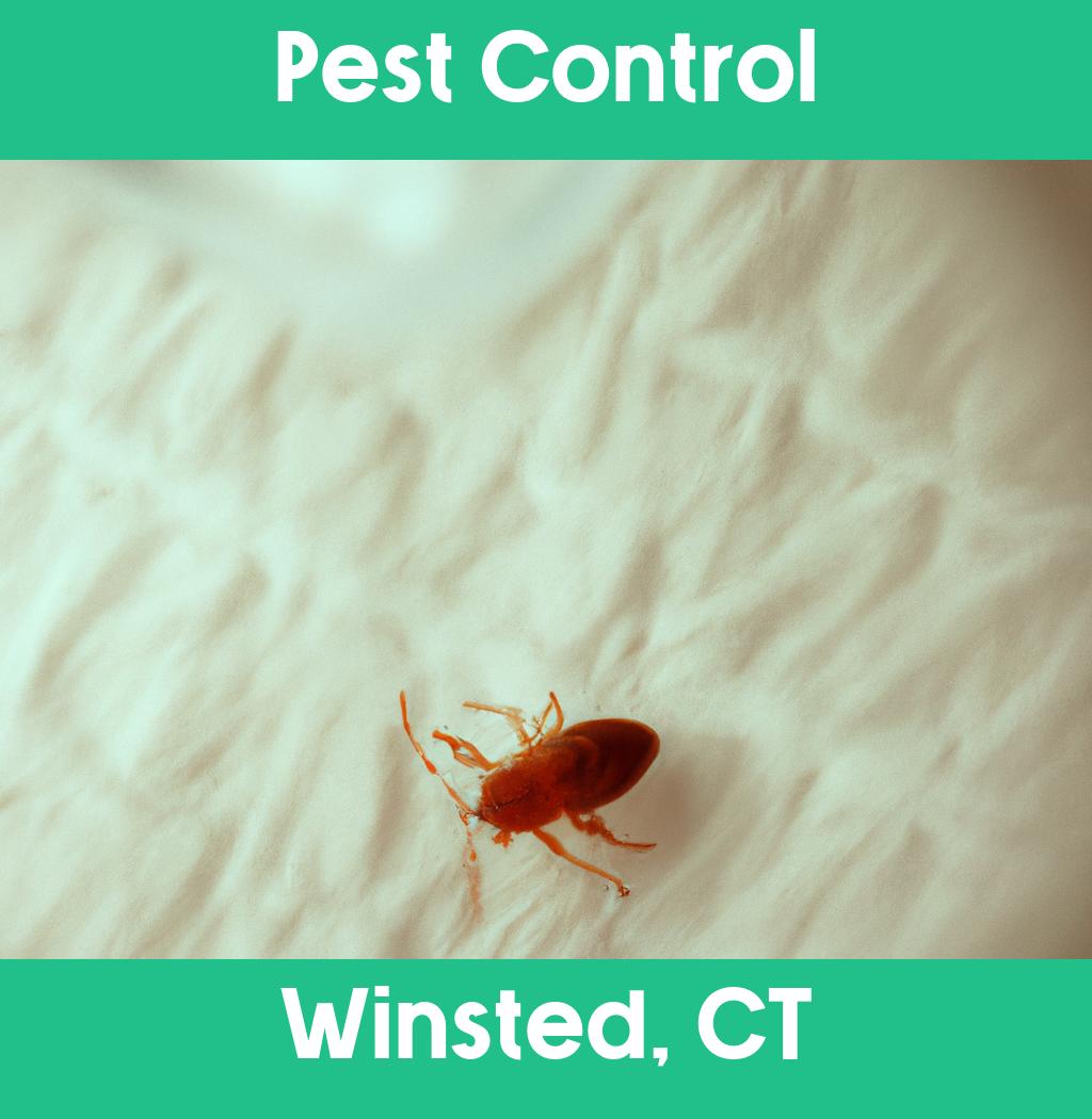 pest control in Winsted Connecticut