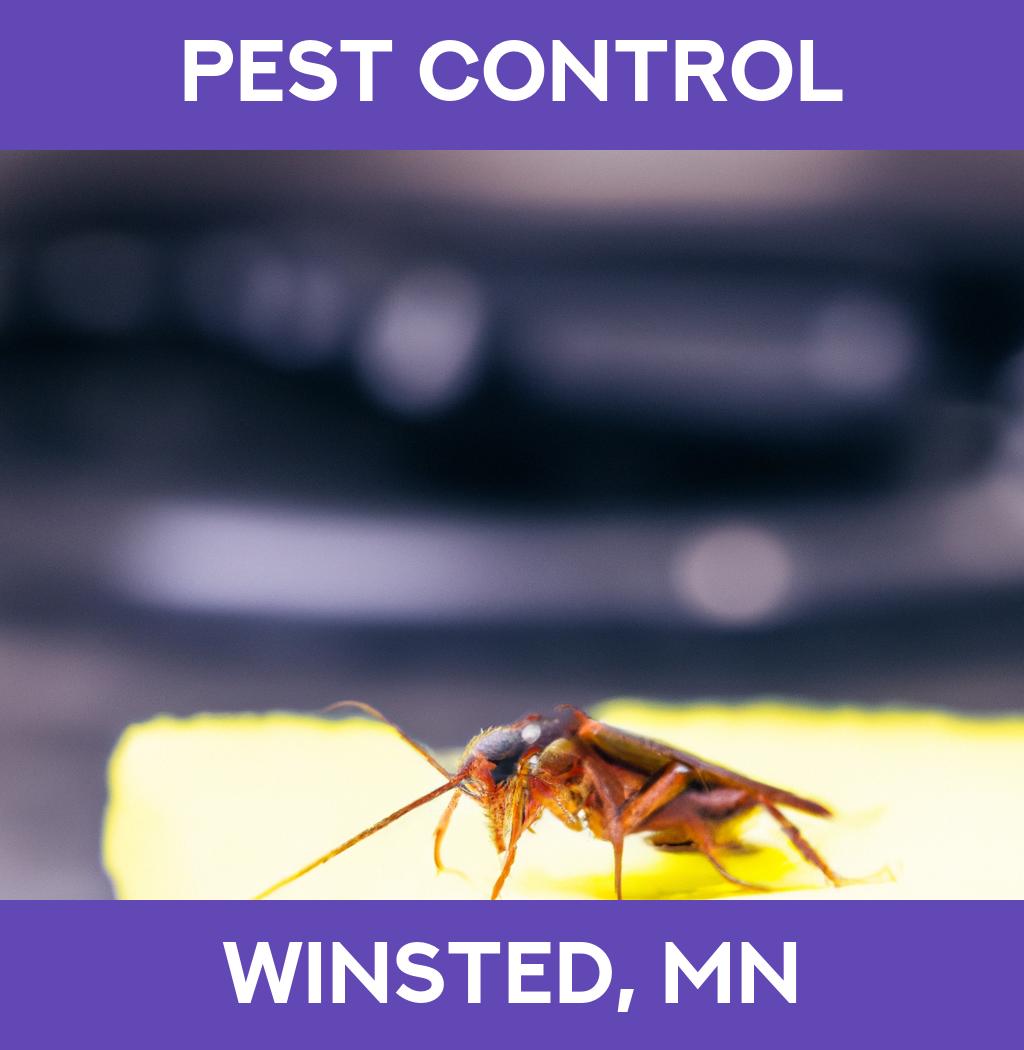 pest control in Winsted Minnesota
