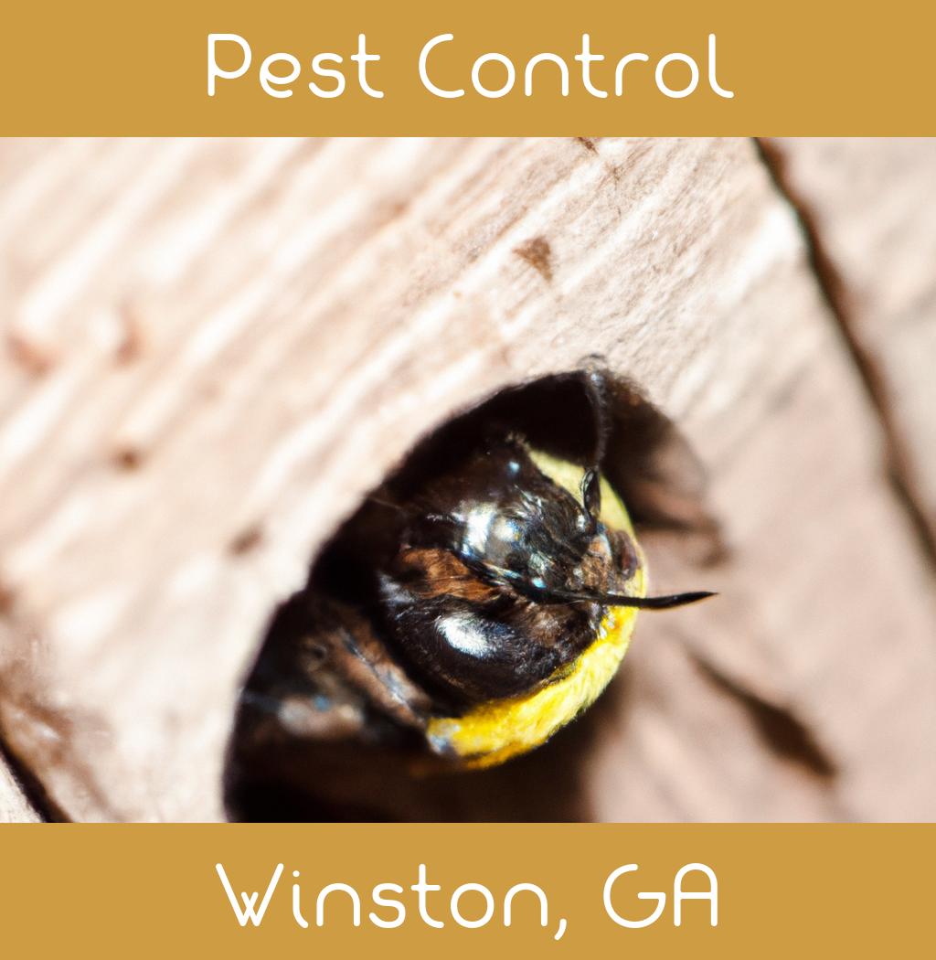 pest control in Winston Georgia
