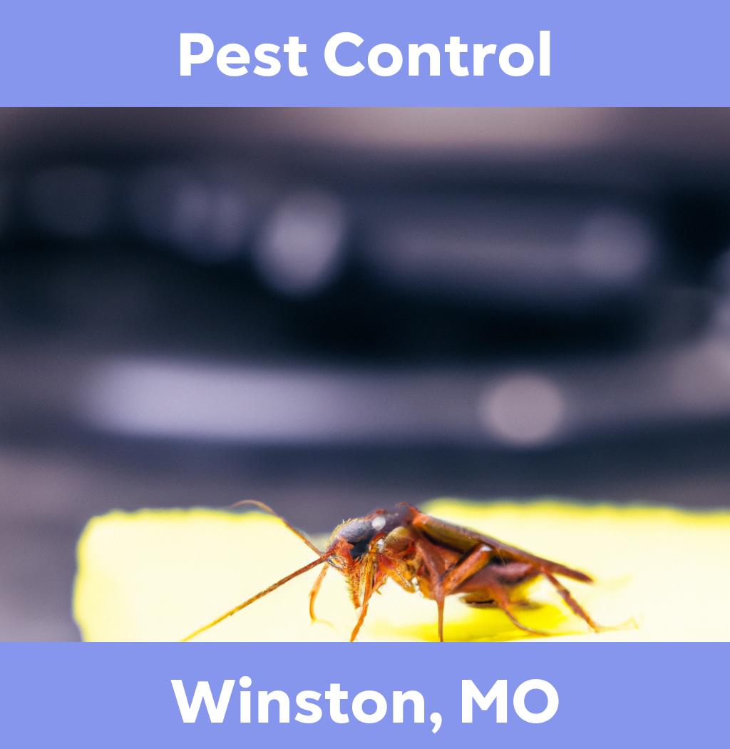 pest control in Winston Missouri
