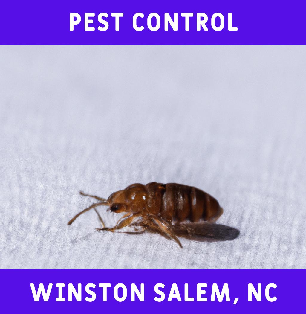 pest control in Winston Salem North Carolina