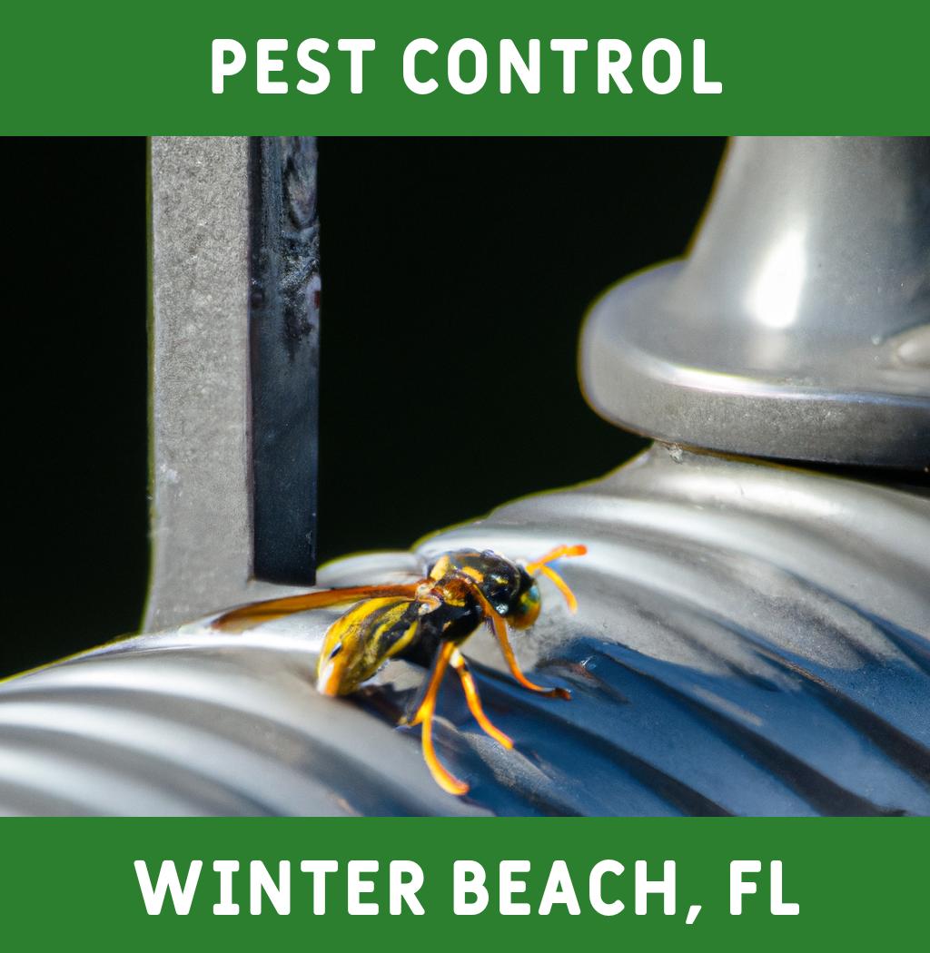 pest control in Winter Beach Florida