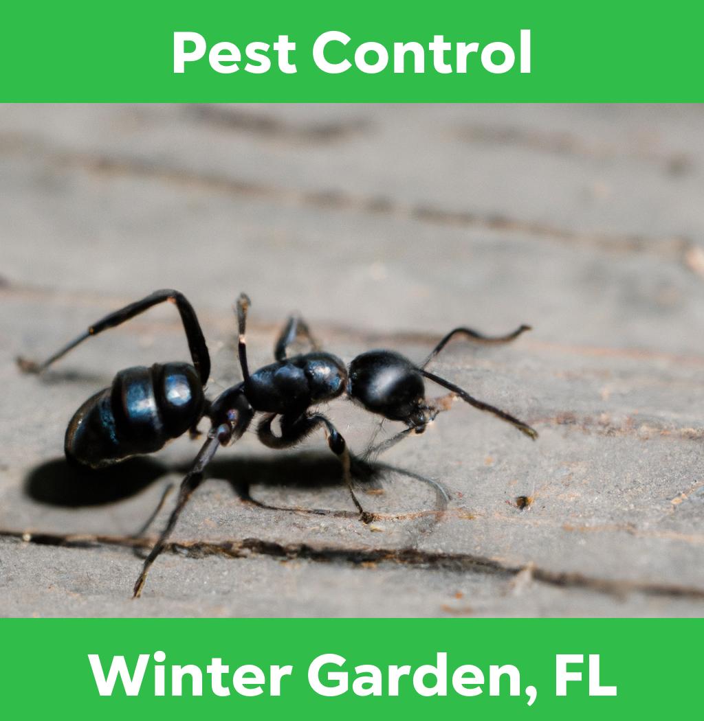 pest control in Winter Garden Florida