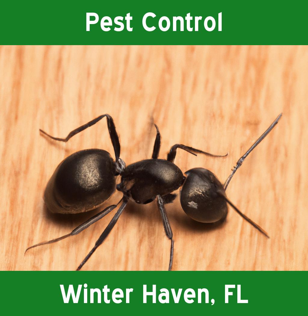 pest control in Winter Haven Florida