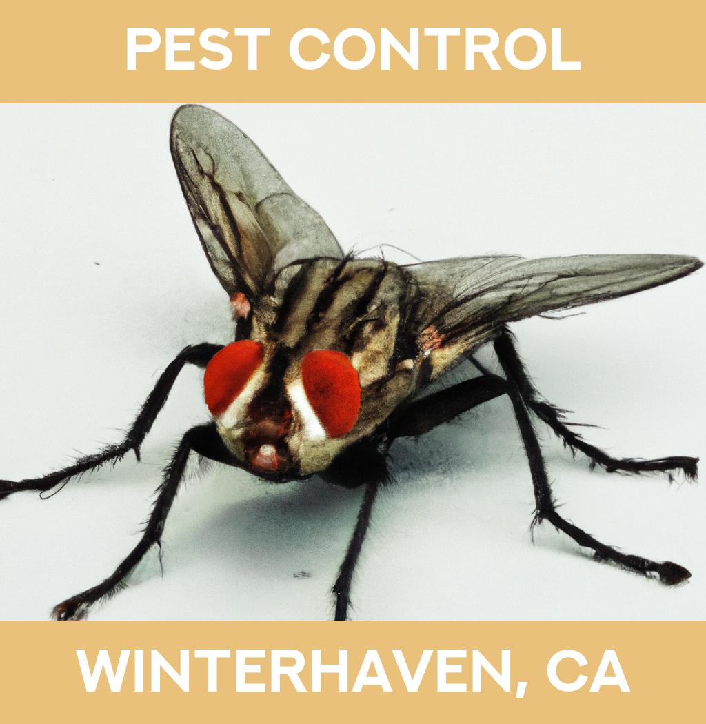 pest control in Winterhaven California