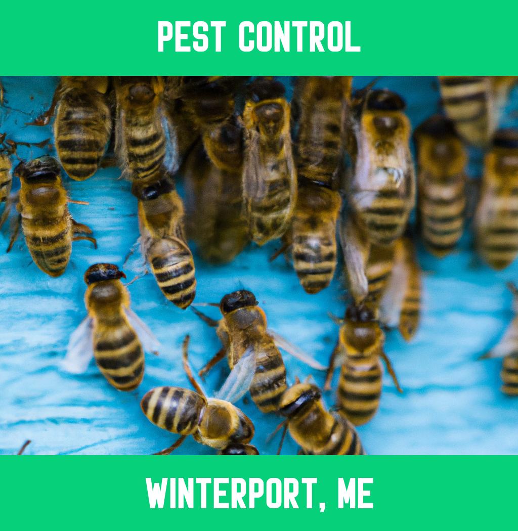 pest control in Winterport Maine