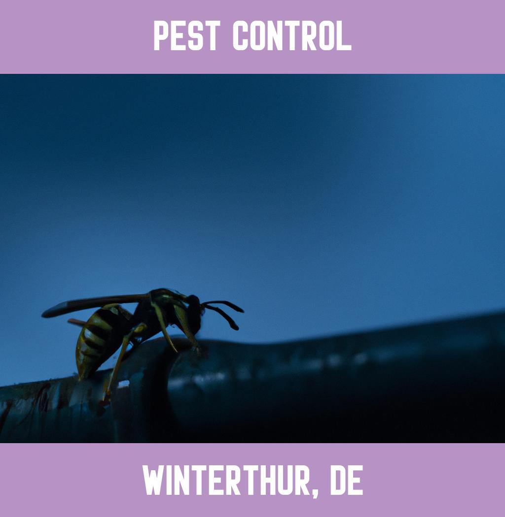 pest control in Winterthur Delaware