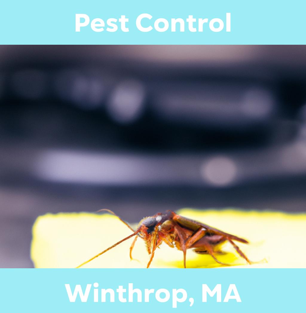 pest control in Winthrop Massachusetts