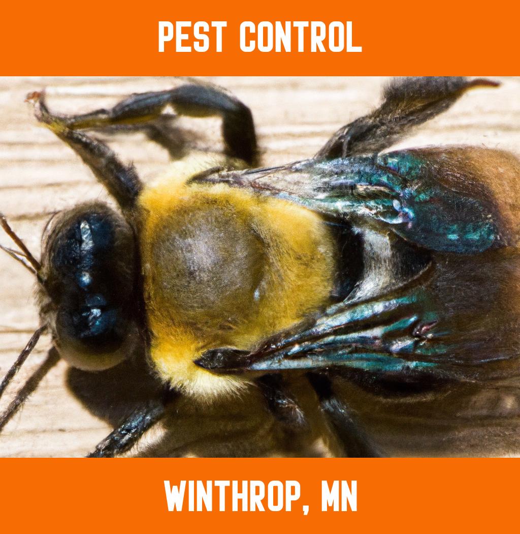 pest control in Winthrop Minnesota