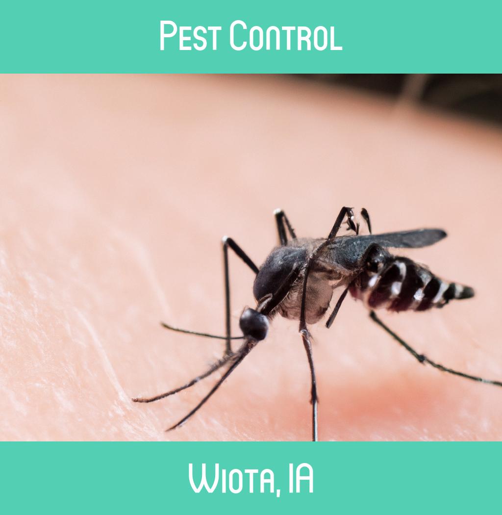 pest control in Wiota Iowa