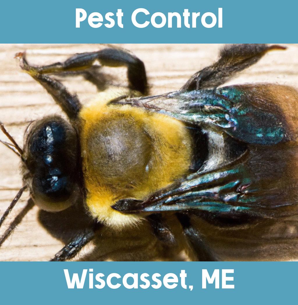 pest control in Wiscasset Maine