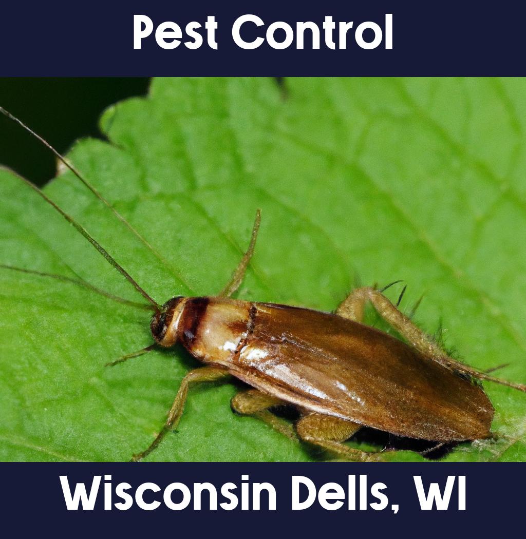 pest control in Wisconsin Dells Wisconsin