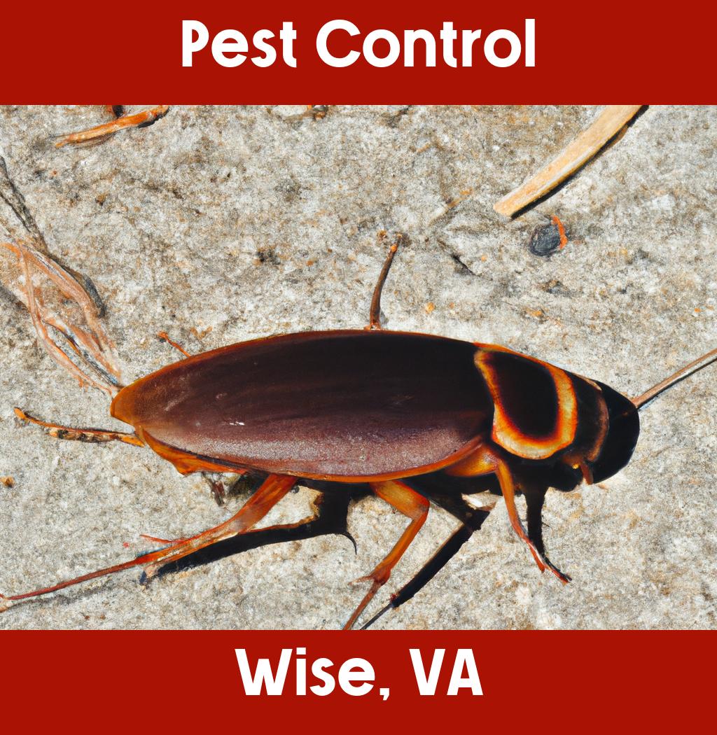 pest control in Wise Virginia