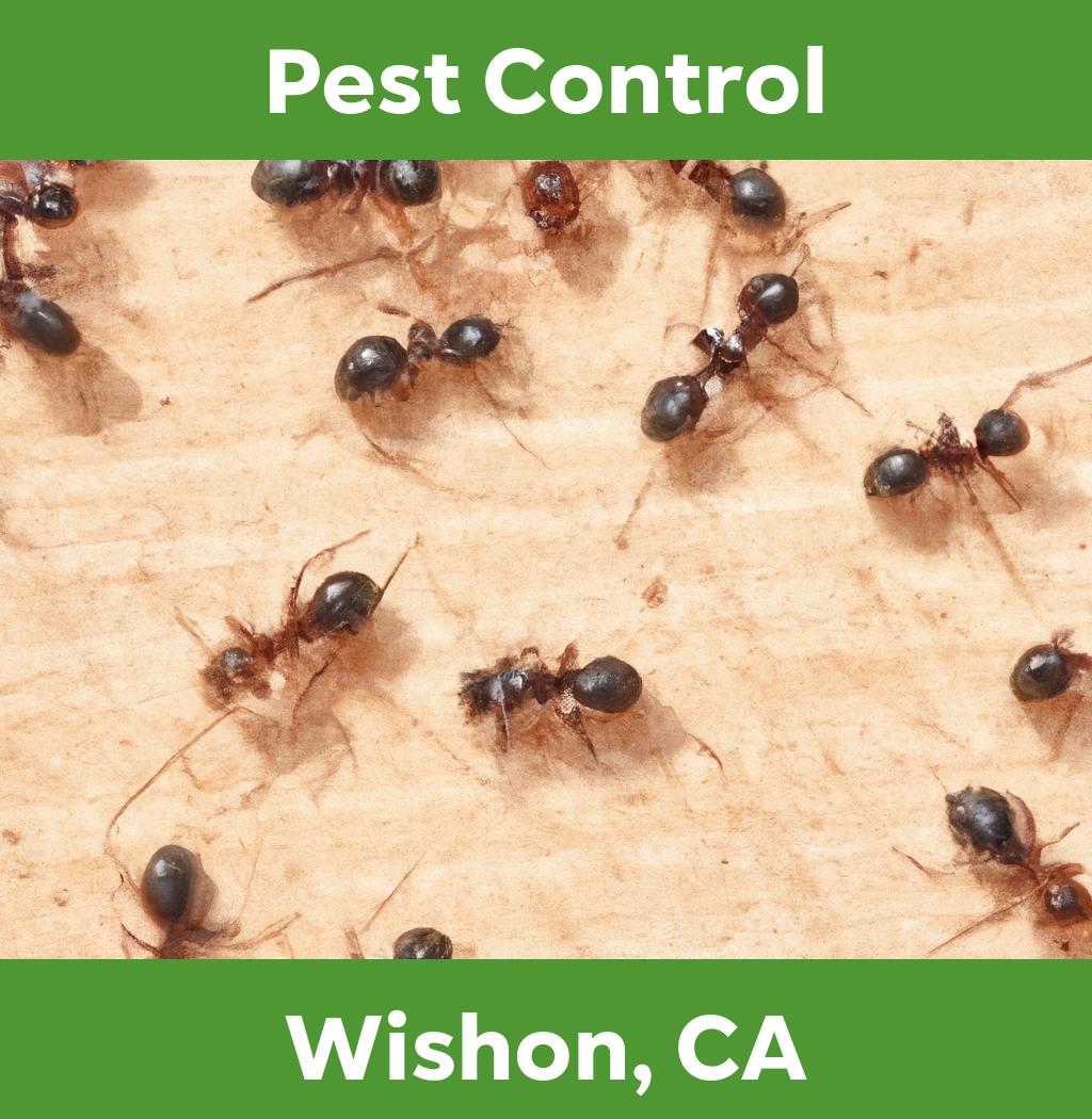 pest control in Wishon California