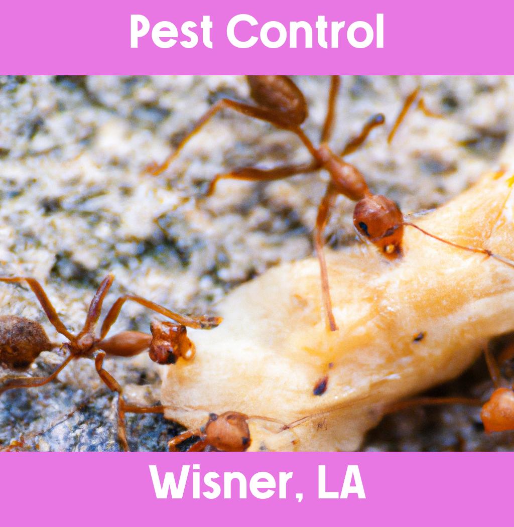 pest control in Wisner Louisiana