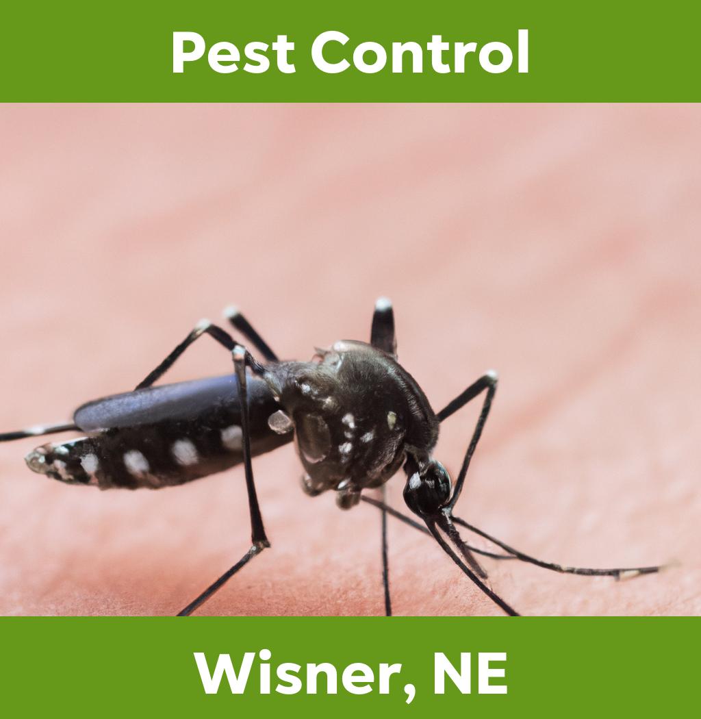 pest control in Wisner Nebraska