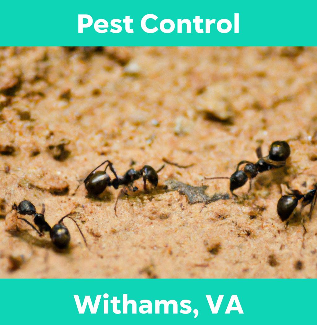 pest control in Withams Virginia