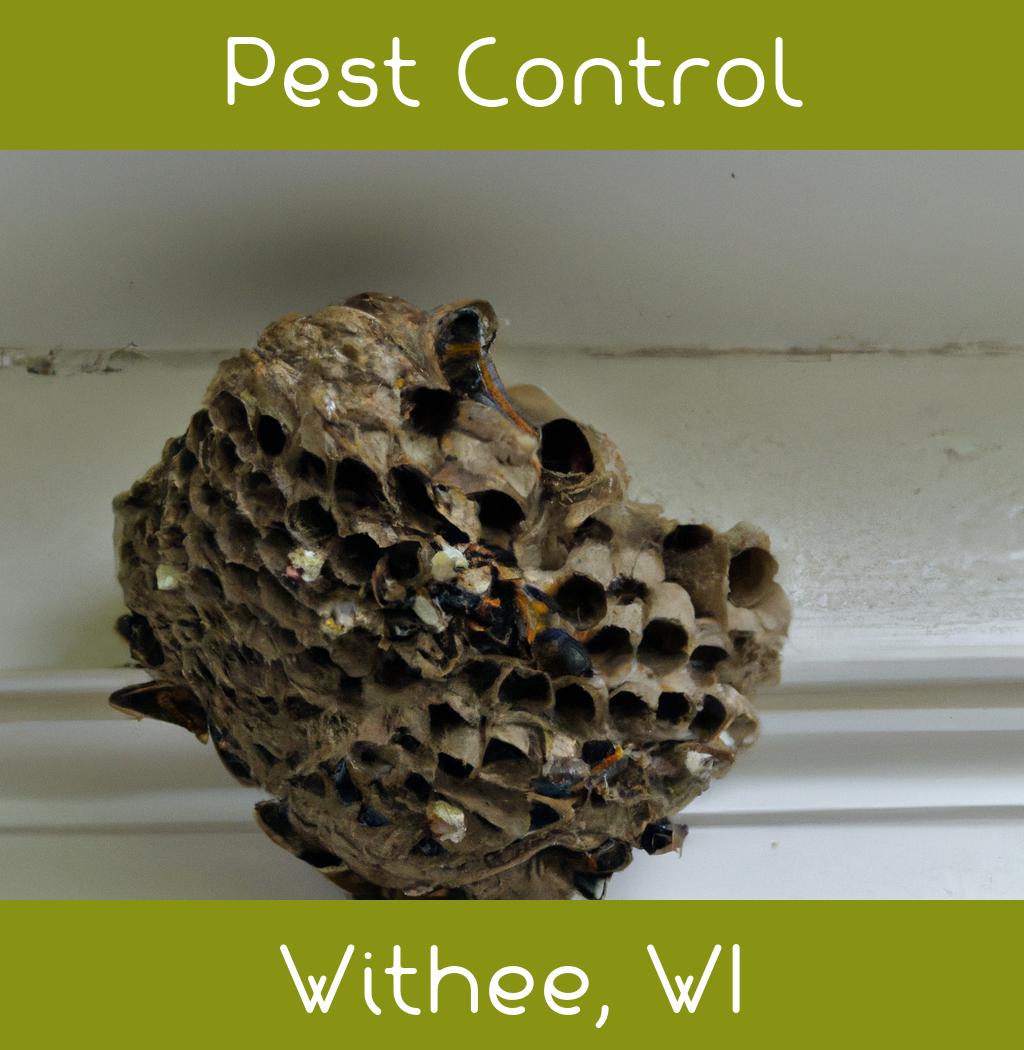 pest control in Withee Wisconsin