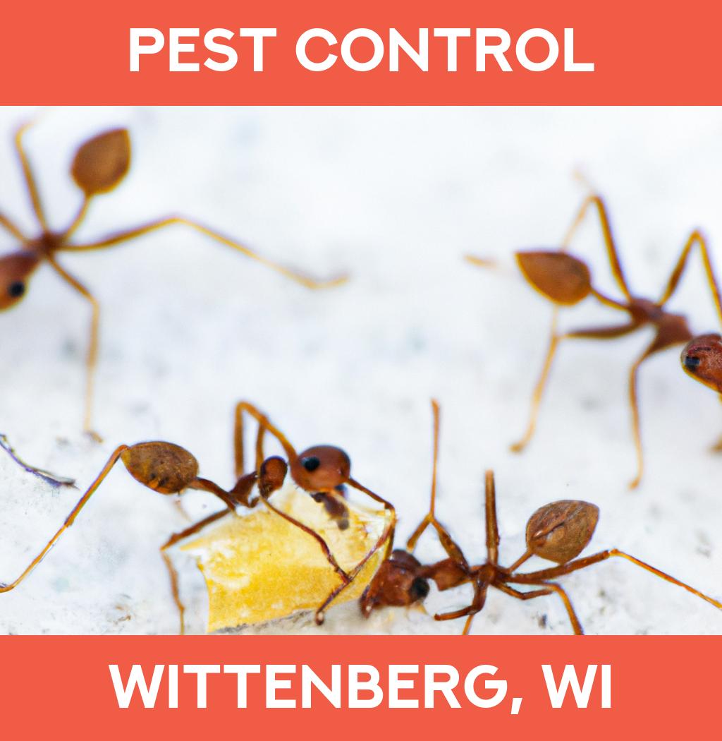 pest control in Wittenberg Wisconsin