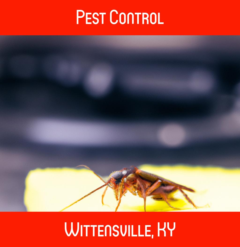 pest control in Wittensville Kentucky