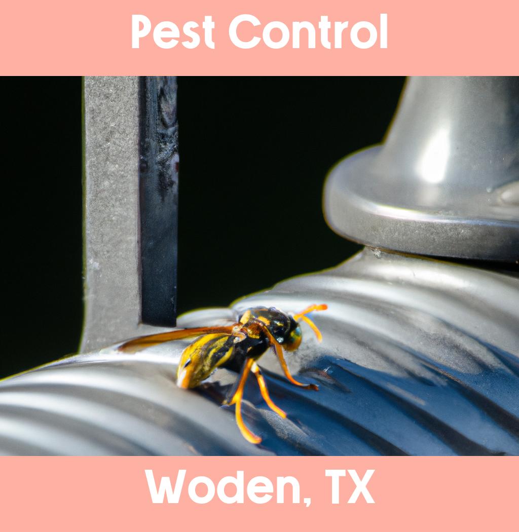 pest control in Woden Texas