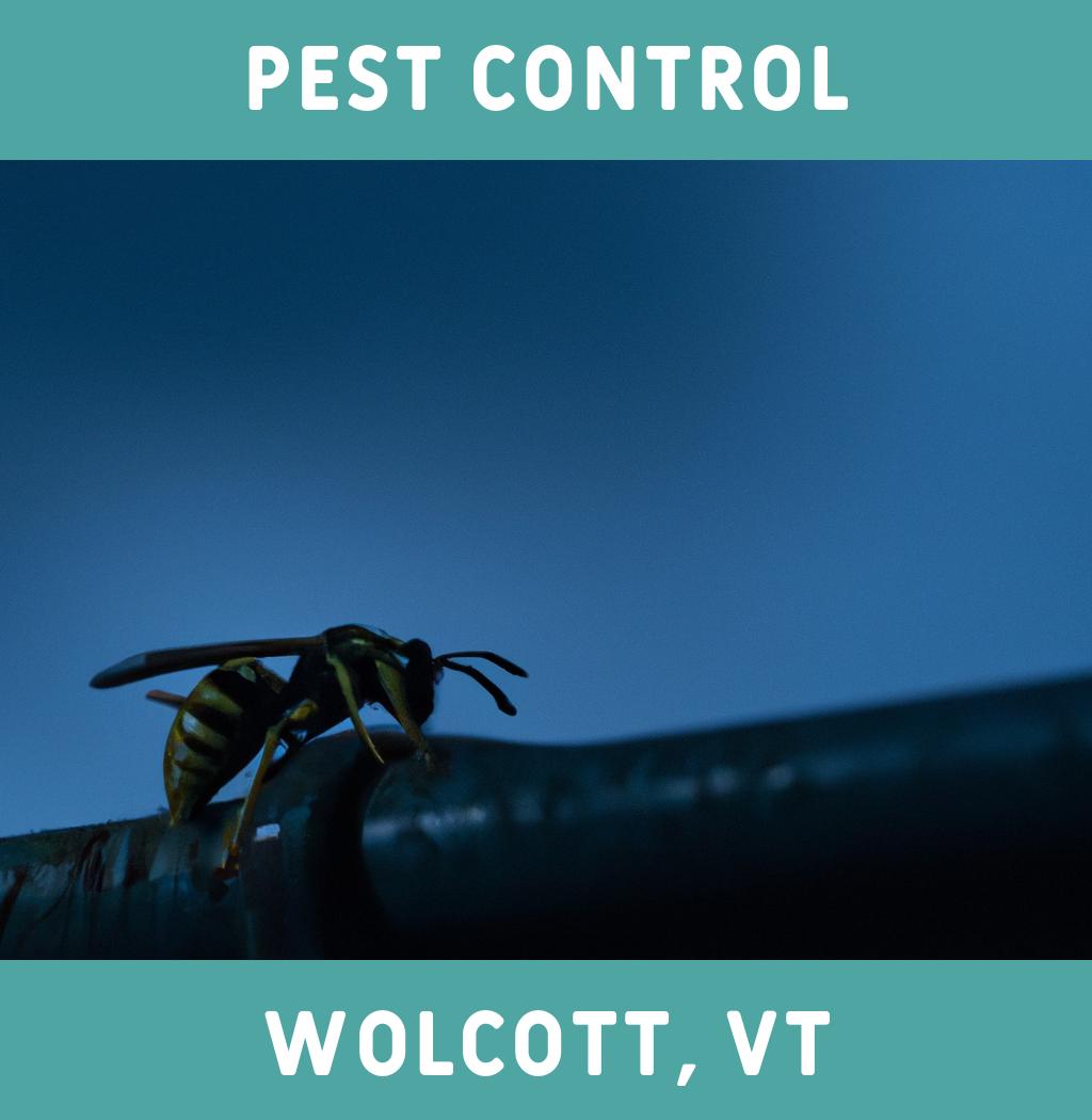 pest control in Wolcott Vermont