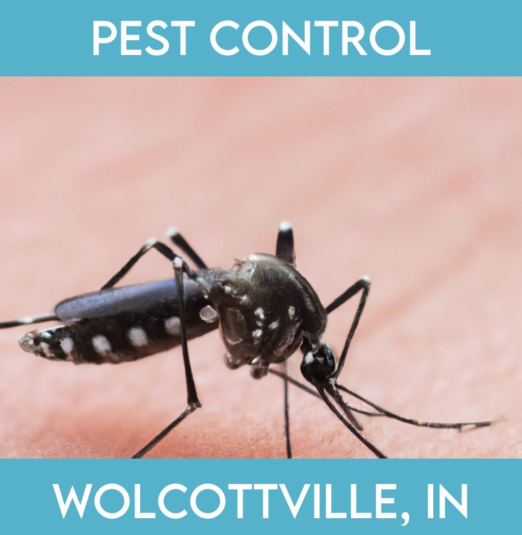 pest control in Wolcottville Indiana