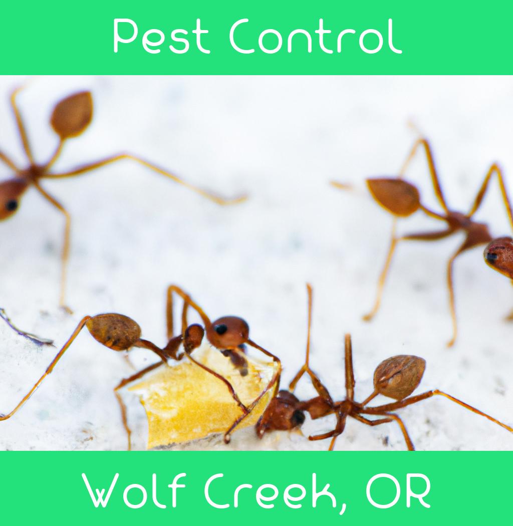 pest control in Wolf Creek Oregon