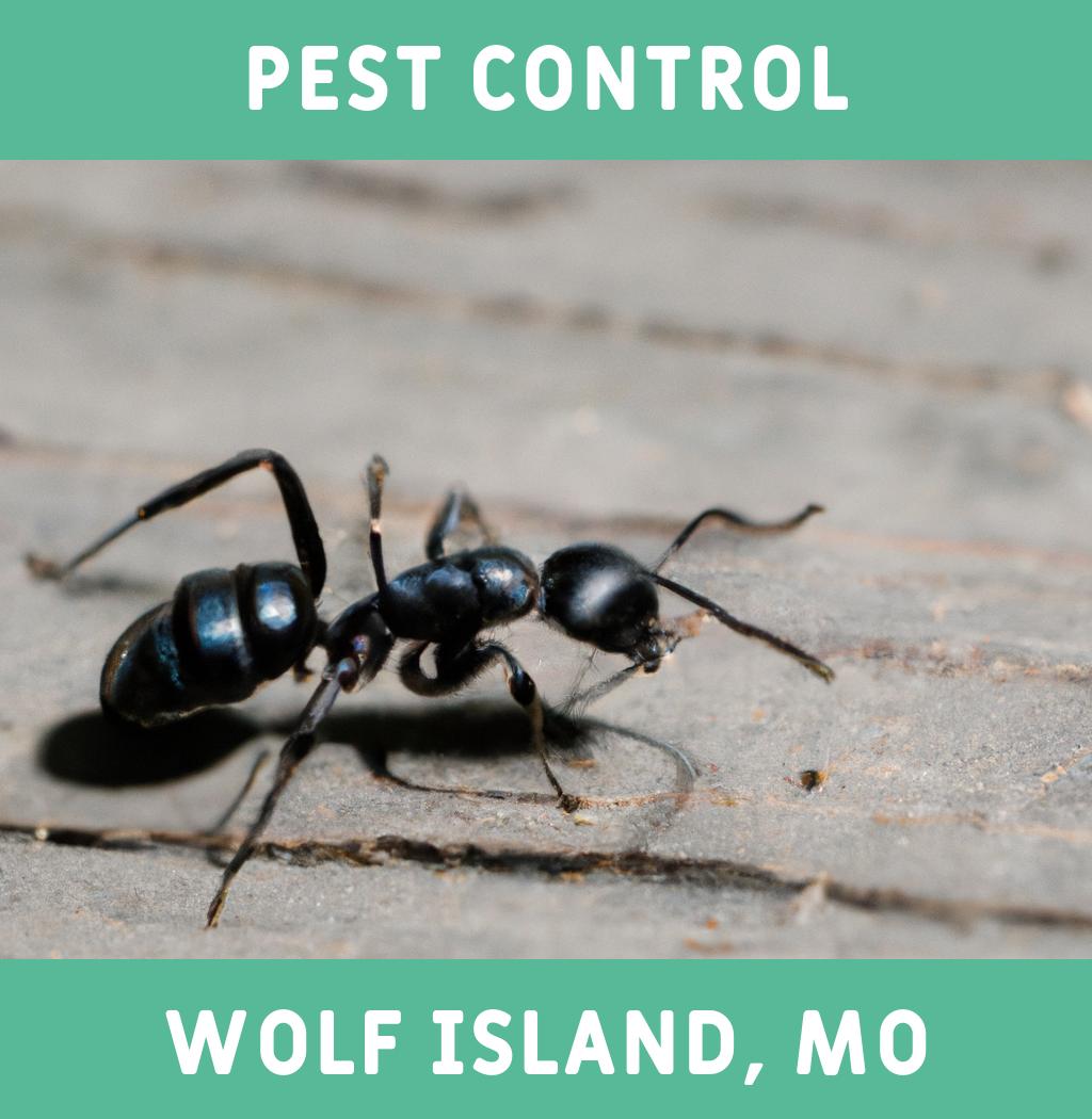 pest control in Wolf Island Missouri