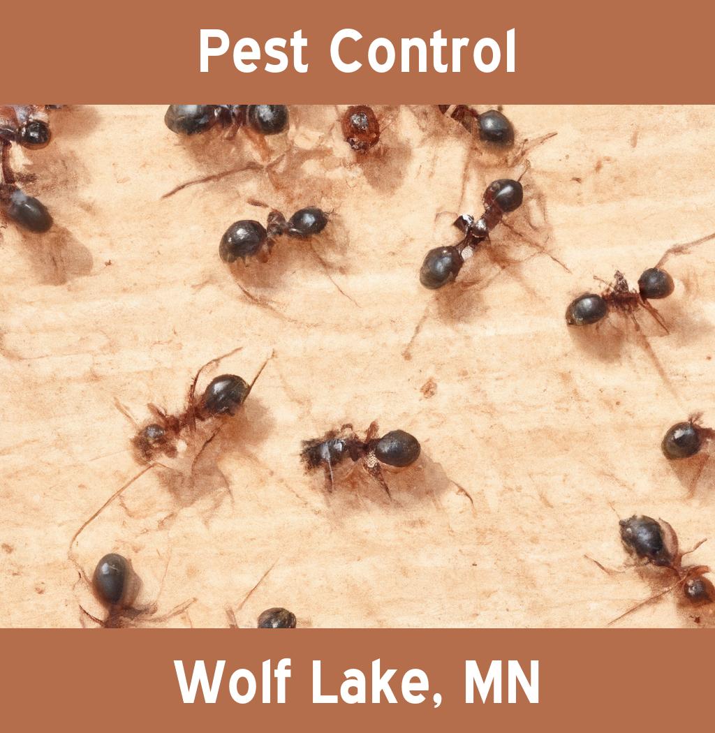 pest control in Wolf Lake Minnesota